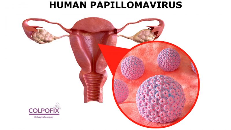 Wirus HPV – o co tyle krzyku?